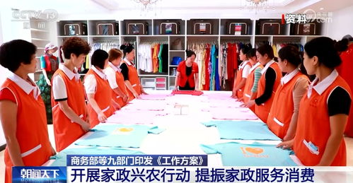家政兴农 激发服务消费新活力，赋能乡村全面振兴